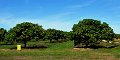 05Tville (25)